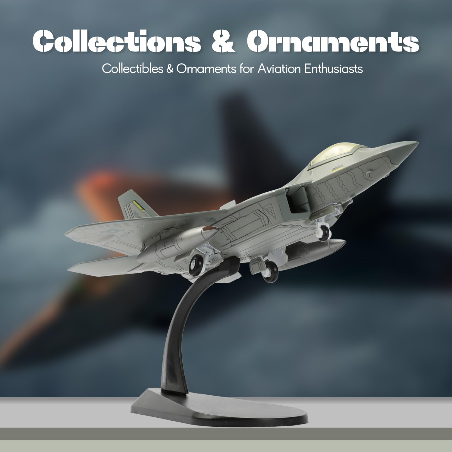 Amazon.com: SEBUNAS 1/100 Scale F-22 Raptor Fighter Jet Model USAF